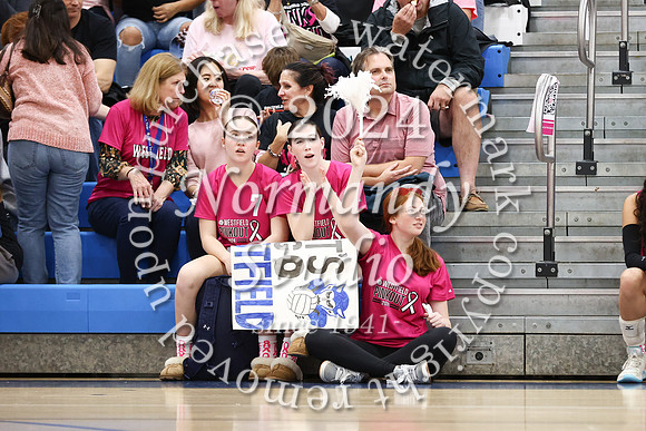 WHS_vb-pink out_39