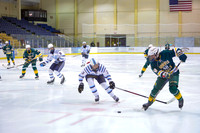 ICE HOCKEY
