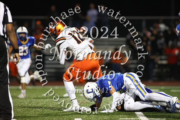 SVL_fb_05