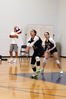 MSM_vb-g_13