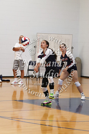 MSM_vb-g_13