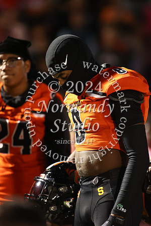 SVL_fb_30