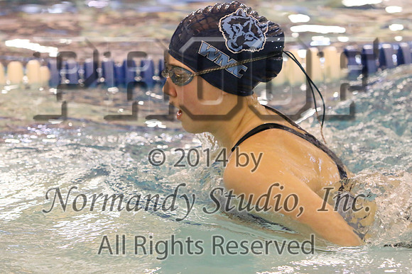 WMC_217_sw-g