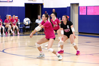 WHS_vb-pink out_05