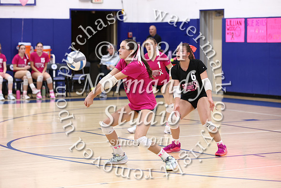 WHS_vb-pink out_05