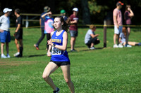 CHS_cc-g_12