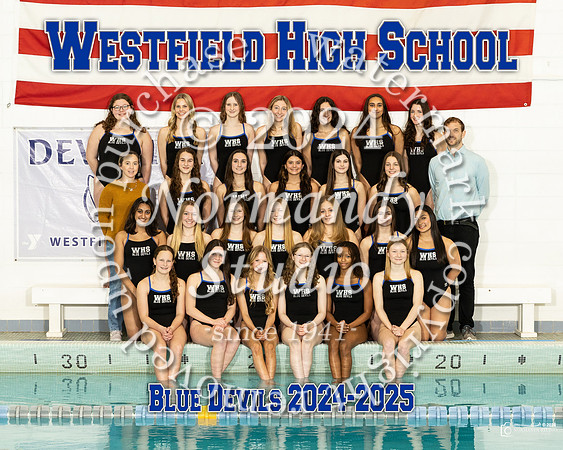 WHS SW-G-T