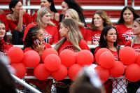LIB_fb-fans_05