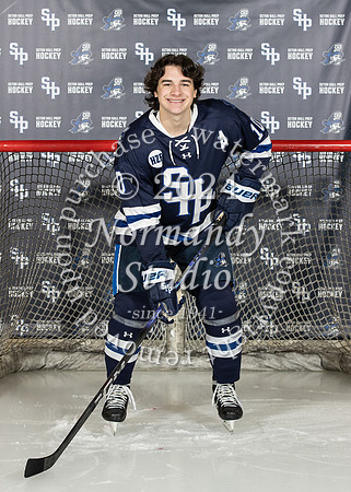 SHP_ih-v-ind_08