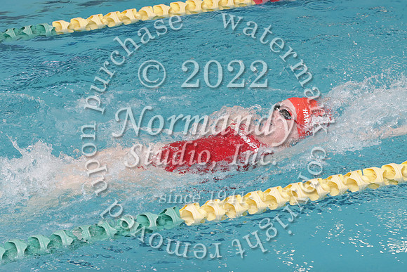 VOR_sw-g_02