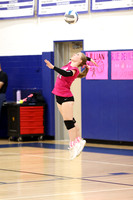 WHS_vb-pink out_08