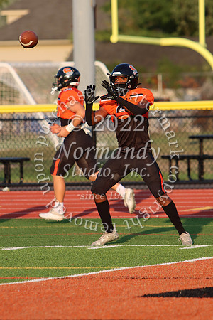 SVL_fb_24