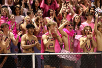 SVL_fans_15