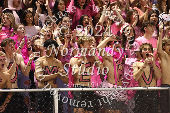 SVL_fans_15