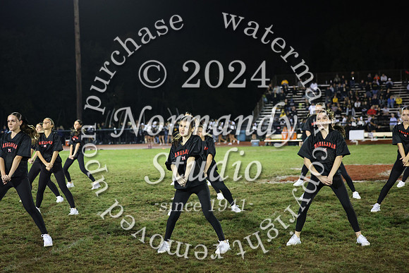 MNP_dt_28