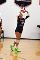 MSM_vb-g_29