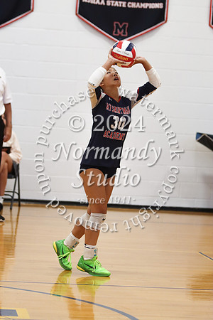 MSM_vb-g_29