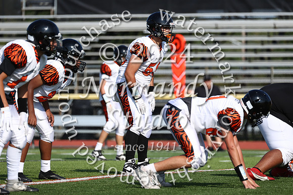 SVL_fb-f_21