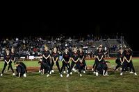 MNP_dt_16