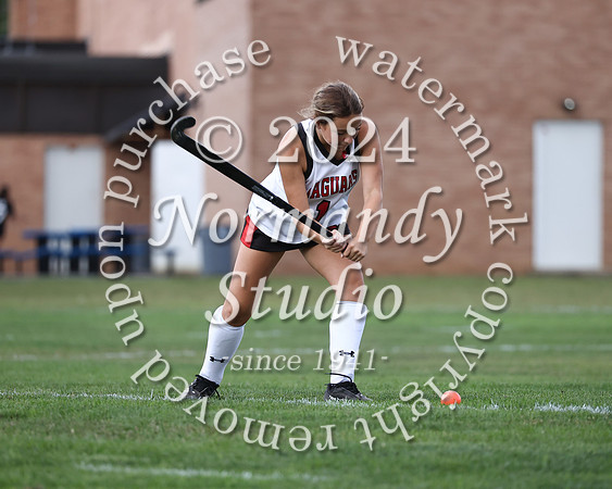 JAC_fh_33