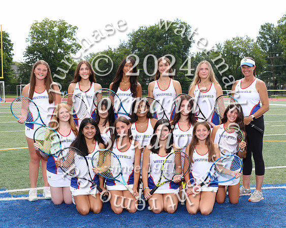 WHS_tn-g-v-t_312