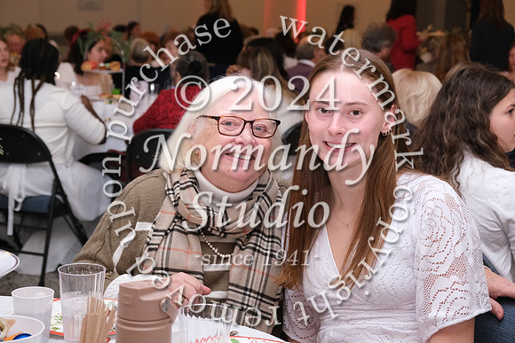 MSM_tea_26