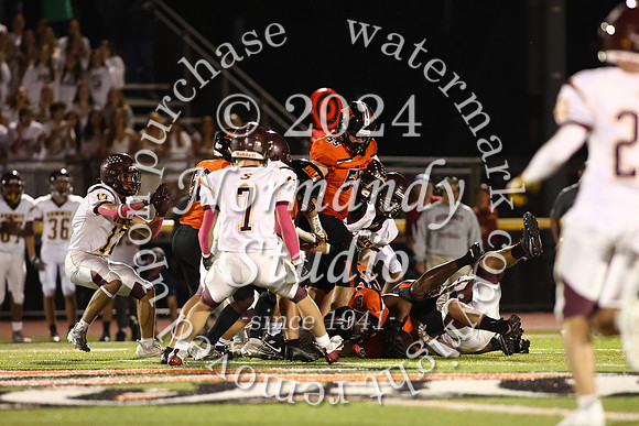 SVL_fb_66