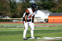 SVL_fb-f_14