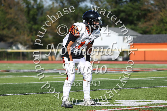 SVL_fb-f_14