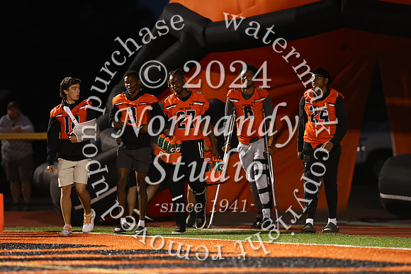 SVL_fb_19