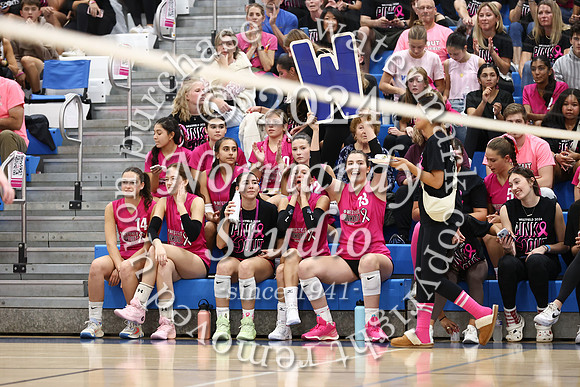 WHS_vb-pink out_24