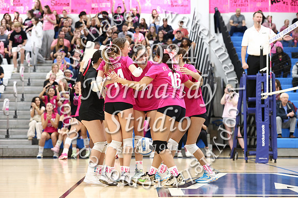 WHS_vb-pink out_32
