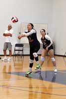 MSM_vb-g_14