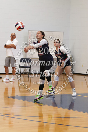 MSM_vb-g_14