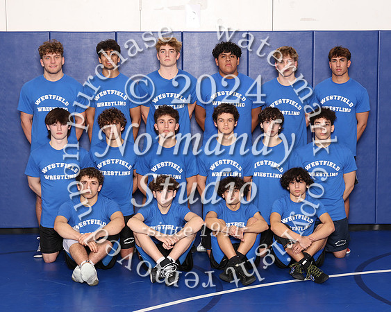 WHS_wr-t_03