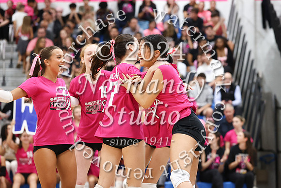 WHS_vb-pink out_47
