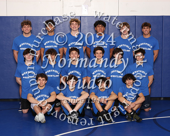 WHS_wr-t_05