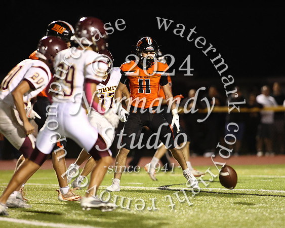 SVL_fb_46