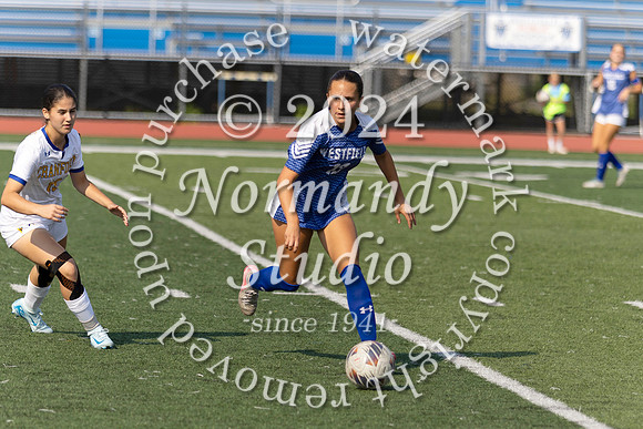 WHS_so-g_63
