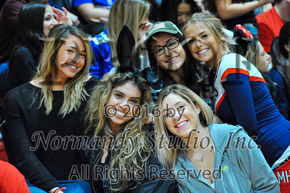 MNP_19_bbf