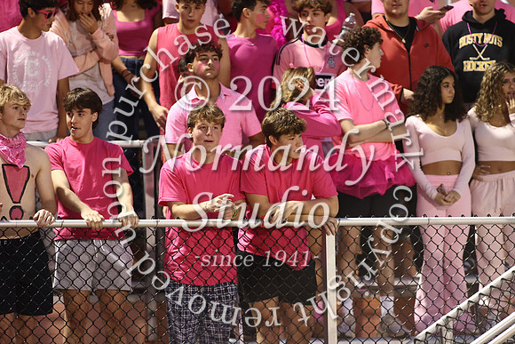 SVL_fans_10