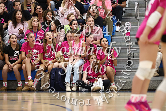 WHS_vb-pink out_48
