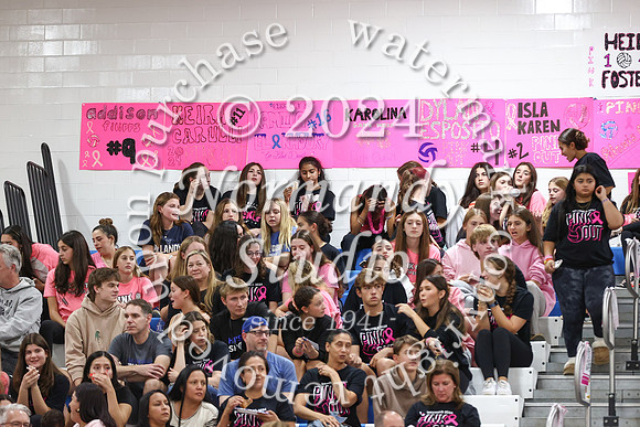 WHS_vb-pink out_35