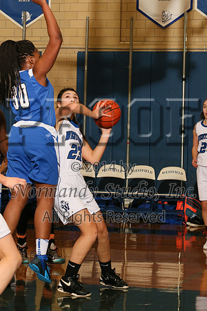 WHS_42_bb-g