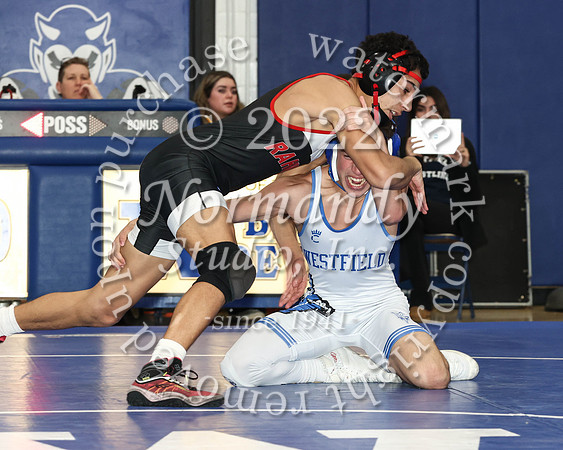 WHS_wr_18