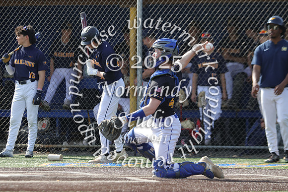 CHS_bb-v_22