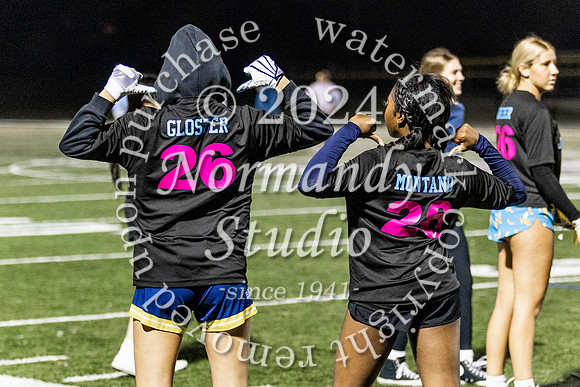 ALJ_powderpuff_37
