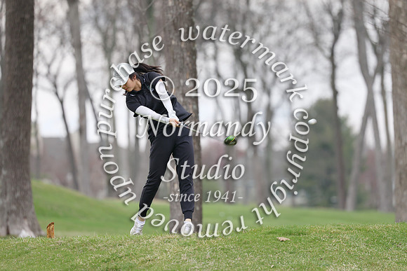 RDG_go-g_011