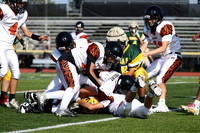 SVL_fb-f_08