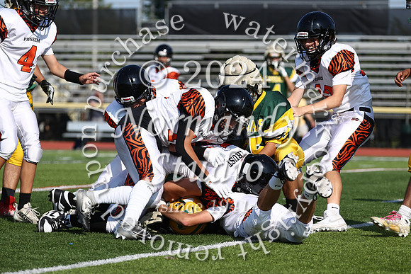 SVL_fb-f_08